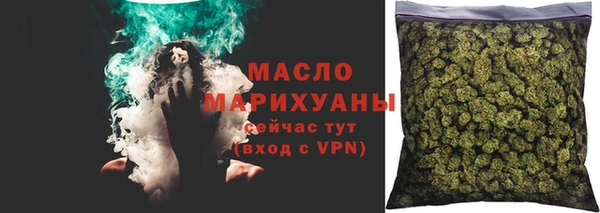 гашик Туринск