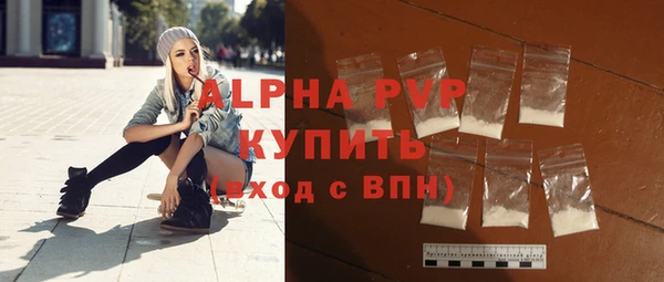 крисы Тында