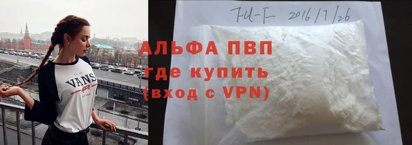 стафф Тутаев