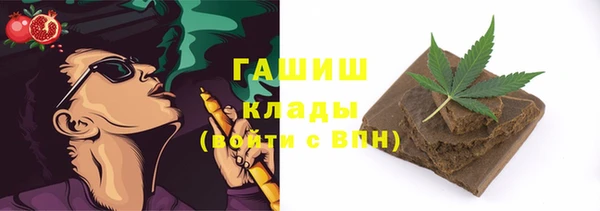 индика Лихославль