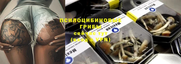 индика Лихославль