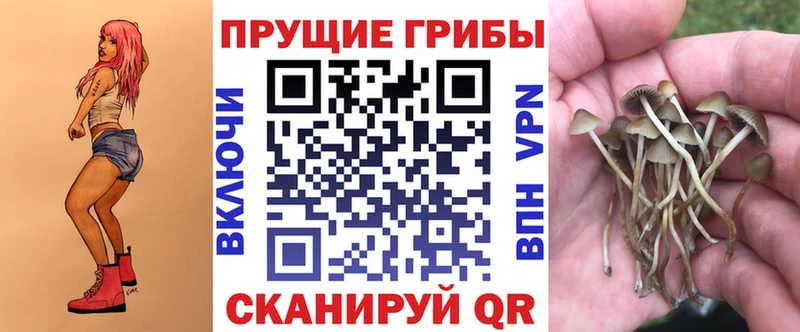Галлюциногенные грибы GOLDEN TEACHER цены наркотик Усть-Илимск